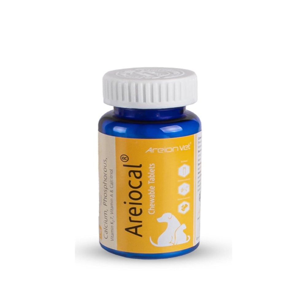 AreioCal  Calcium Supplement for Bones 30's Tablet 