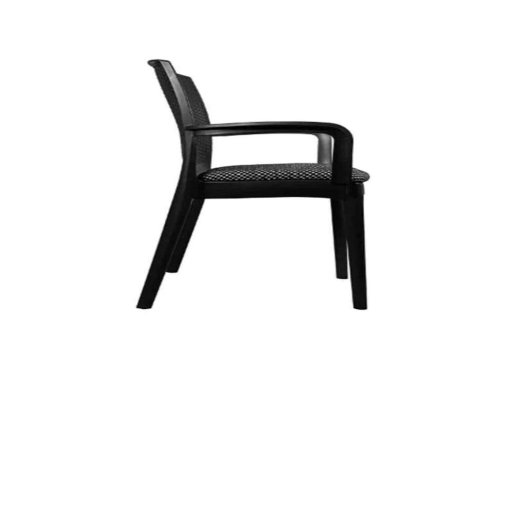 DIYA ALPHA HANDLE WITH CUSHION CHAIR 