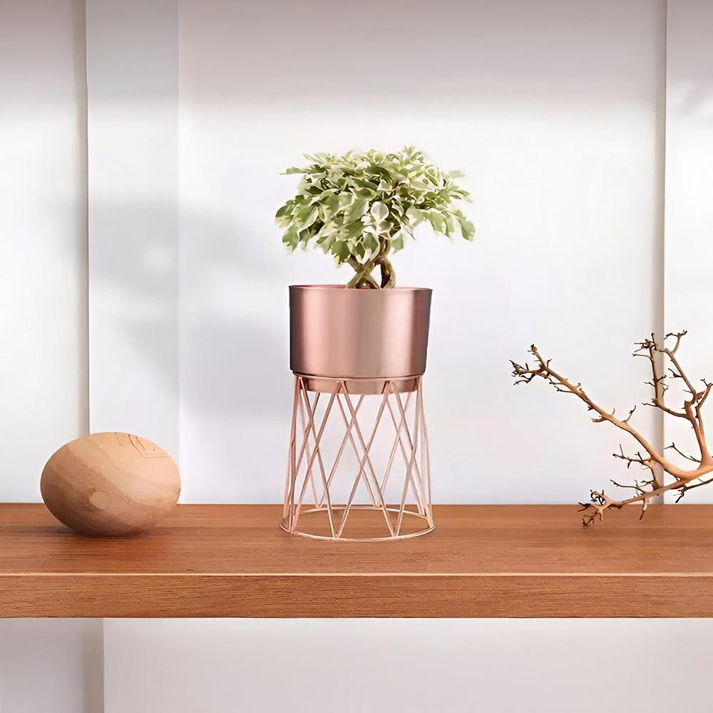 Royaloak Metal Wire Stand Large Planter - Rosegold - Eplt-18 - Color: Rose Gold