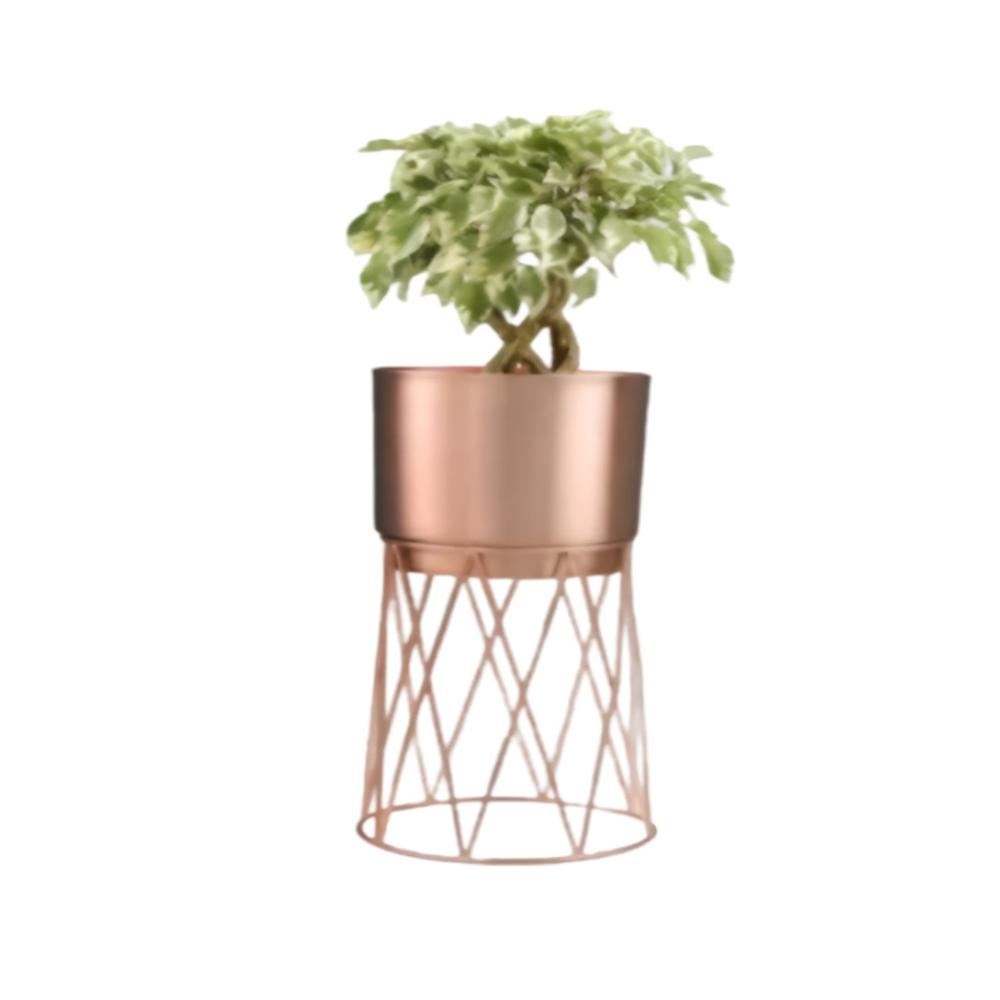 Royaloak Metal Wire Stand Large Planter - Rosegold - Eplt-18 - Color: Rose Gold