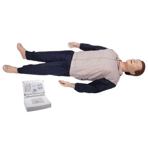 Cpr Manikin