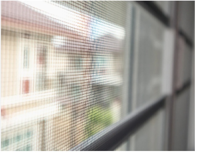 Window Screen