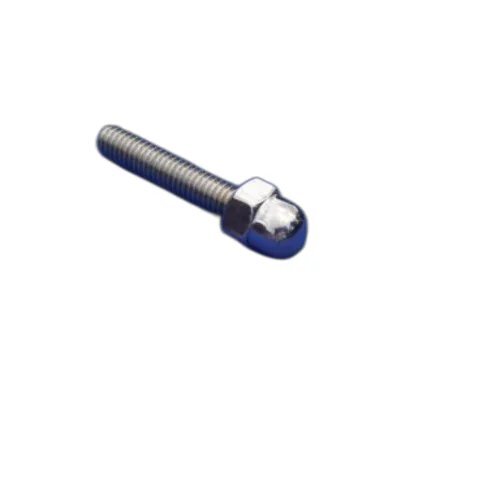 SS Dome Bolt