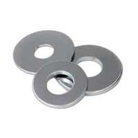 SS Plain Washer