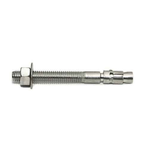 SS Wedge Type Anchor Fastners