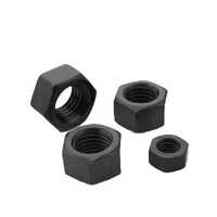 MS Hex Nuts