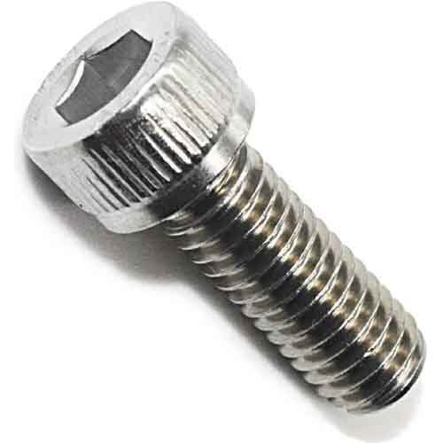 SS Socket Head Cap Screw