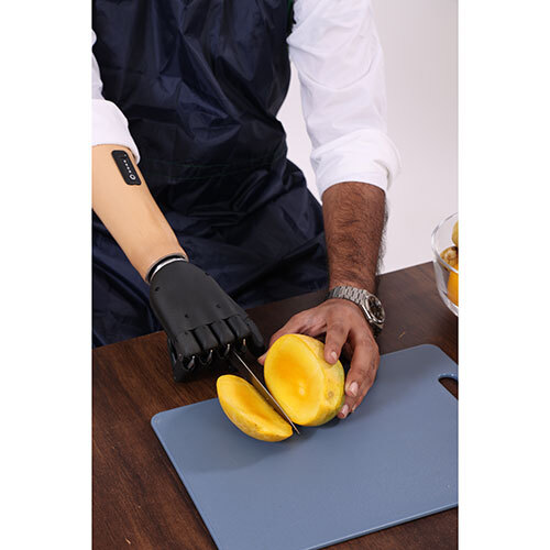 Functional Bionic Hand