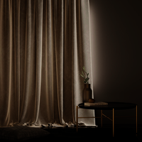 Velvet Curtain