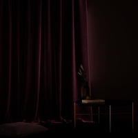 Velvet Curtain