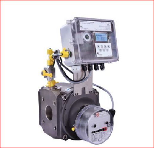 Rotary Gas Meter - Sensor Type: Rpd