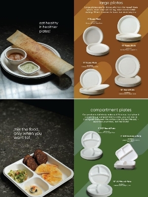 Disposable tableware plate