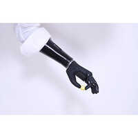 Advanced Upper Limb Prosthetics - Zeus Bionic Hand