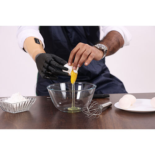 Functional Bionic Hand
