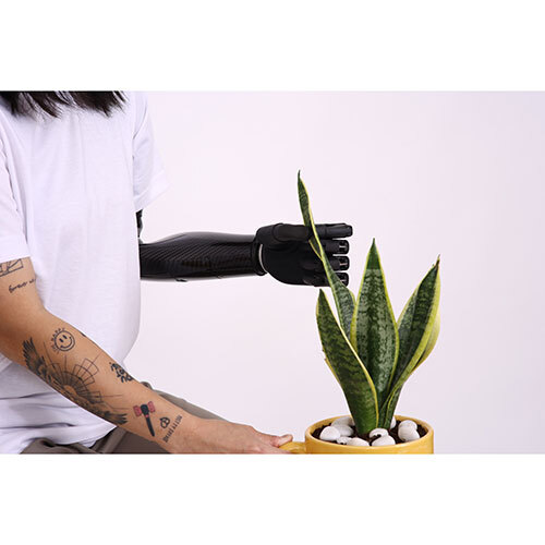 Functional Bionic Hand