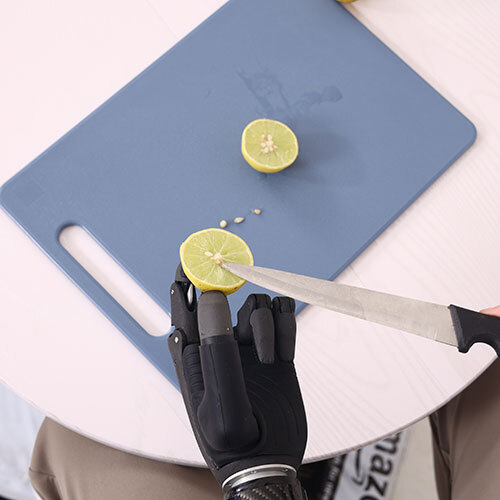 Get Zeus Prosthetic Hand- Strong And Robust - Accuracy: 95 %