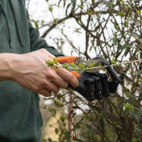 Get Zeus Prosthetic Hand- Strong And Robust