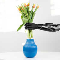 Prosthetic Hand