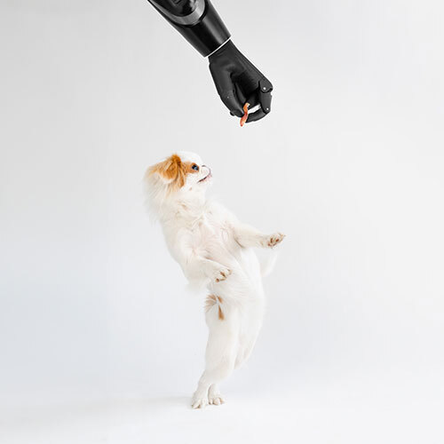 Prosthetic Hand - Application: Industrial