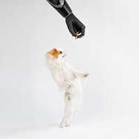 Prosthetic Hand
