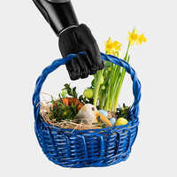 Prosthetic Hand