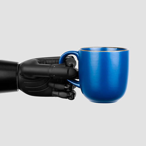 Prosthetic Hand - Application: Industrial