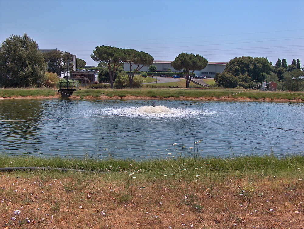 Full Automatic Surface Aerator