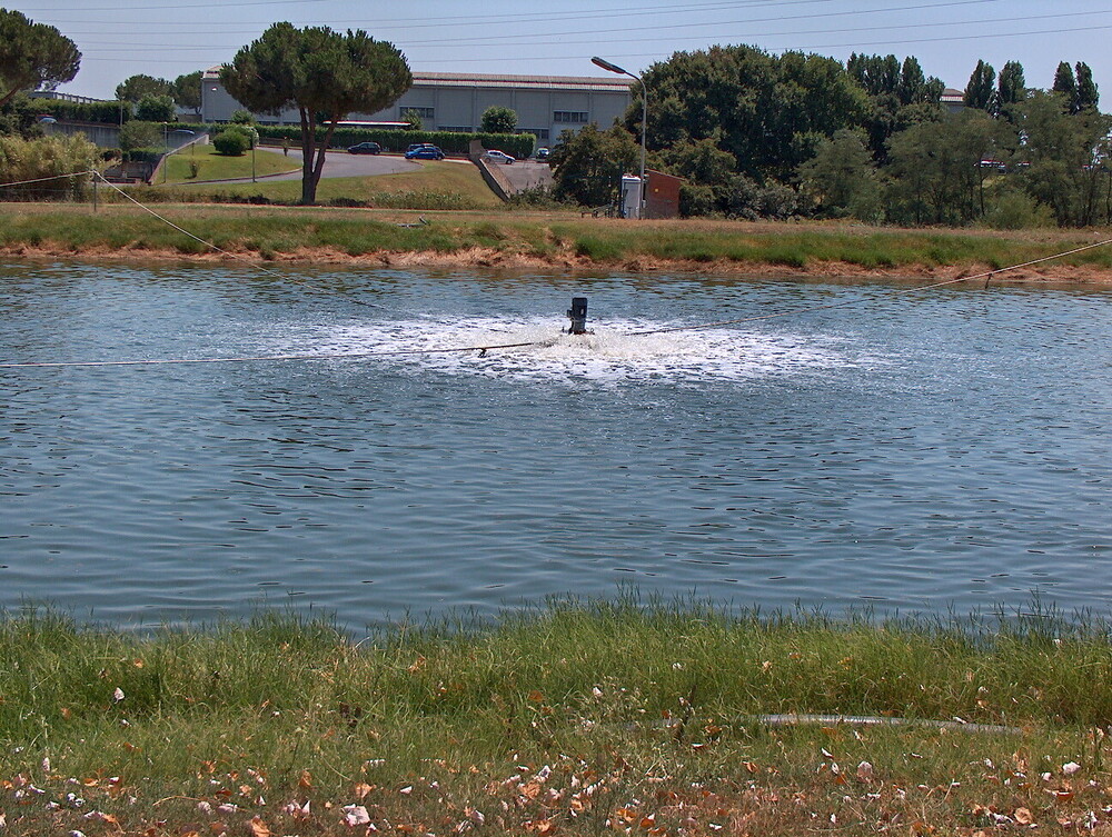 Full Automatic Surface Aerator