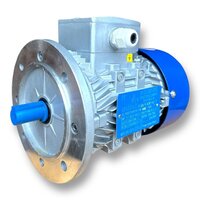 THREE PHASE INDUCTION MOTOR