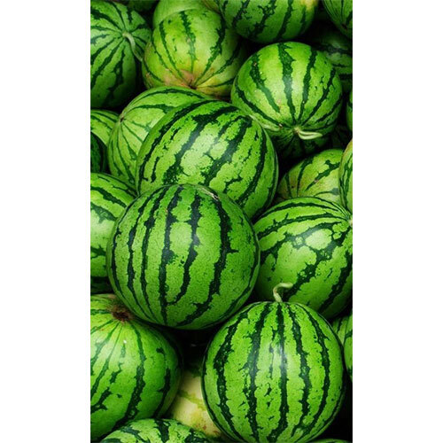 Water Melon