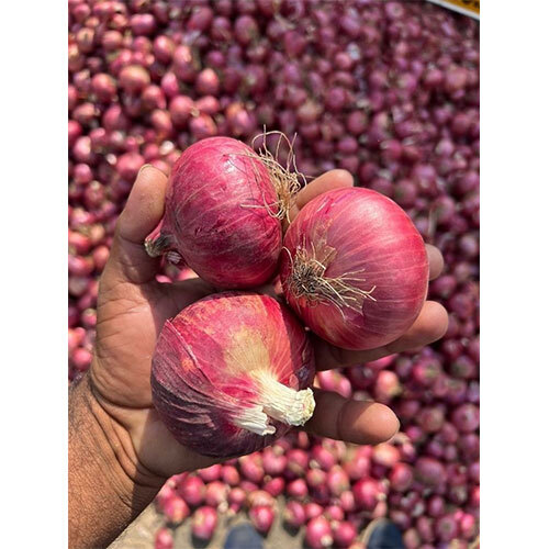 Red Onion