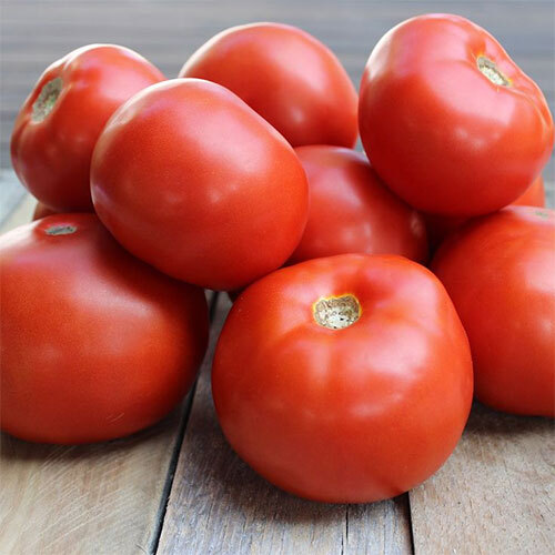 Fresh Tomato
