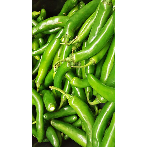 Green Chilli
