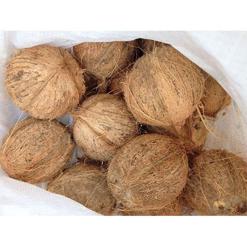 Semi Husked Coconut
