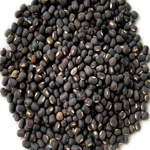 Black Urad Dal - Cultivation Type: Organic