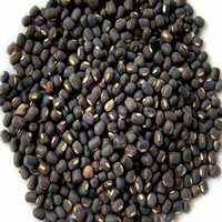 Black Urad Dal - Dried Organic Pulse, 100% Pure, Round Shape, Naturally Black Color | Ideal For Traditional Indian Dishes & Culinary Versatility