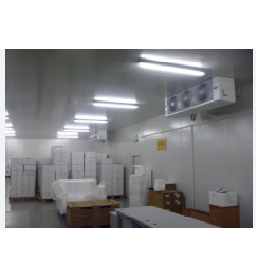 Freezer Room - Dimension (L*w*h): 4x6x4 Foot (Ft)