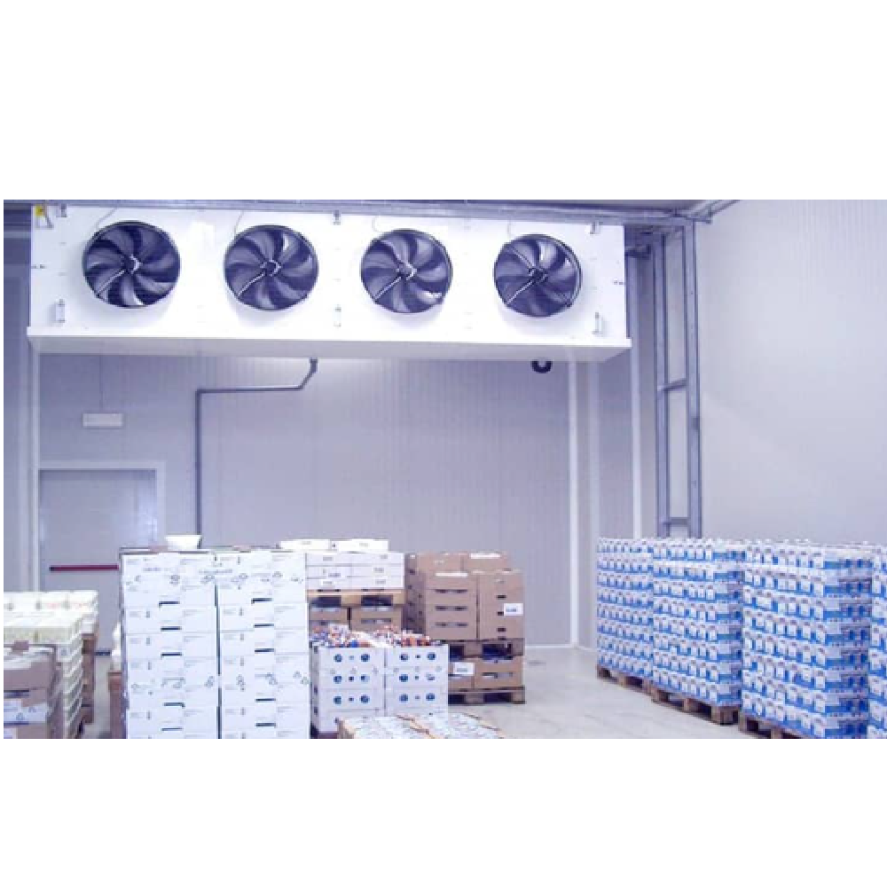 Freezer Room - Dimension (L*w*h): 4x6x4 Foot (Ft)