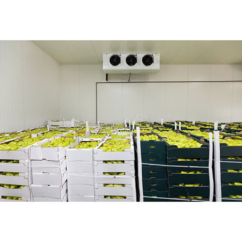 Cold Storage - Automation Grade: Automatic