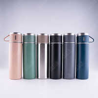 Ne 40 Vacuum Flask Gift Set - Capacity: 500 Milliliter (ml)