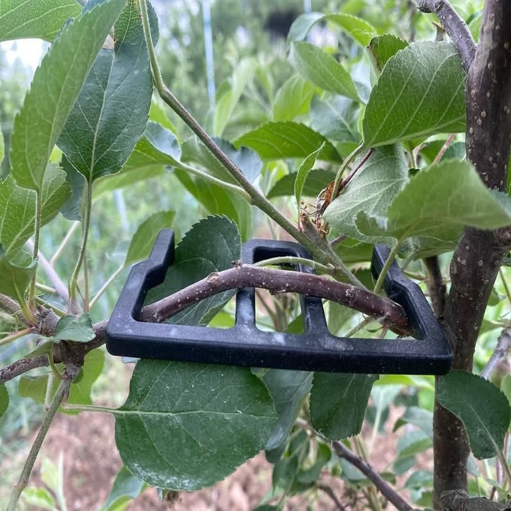 Unbreakable Branch Bending Hook