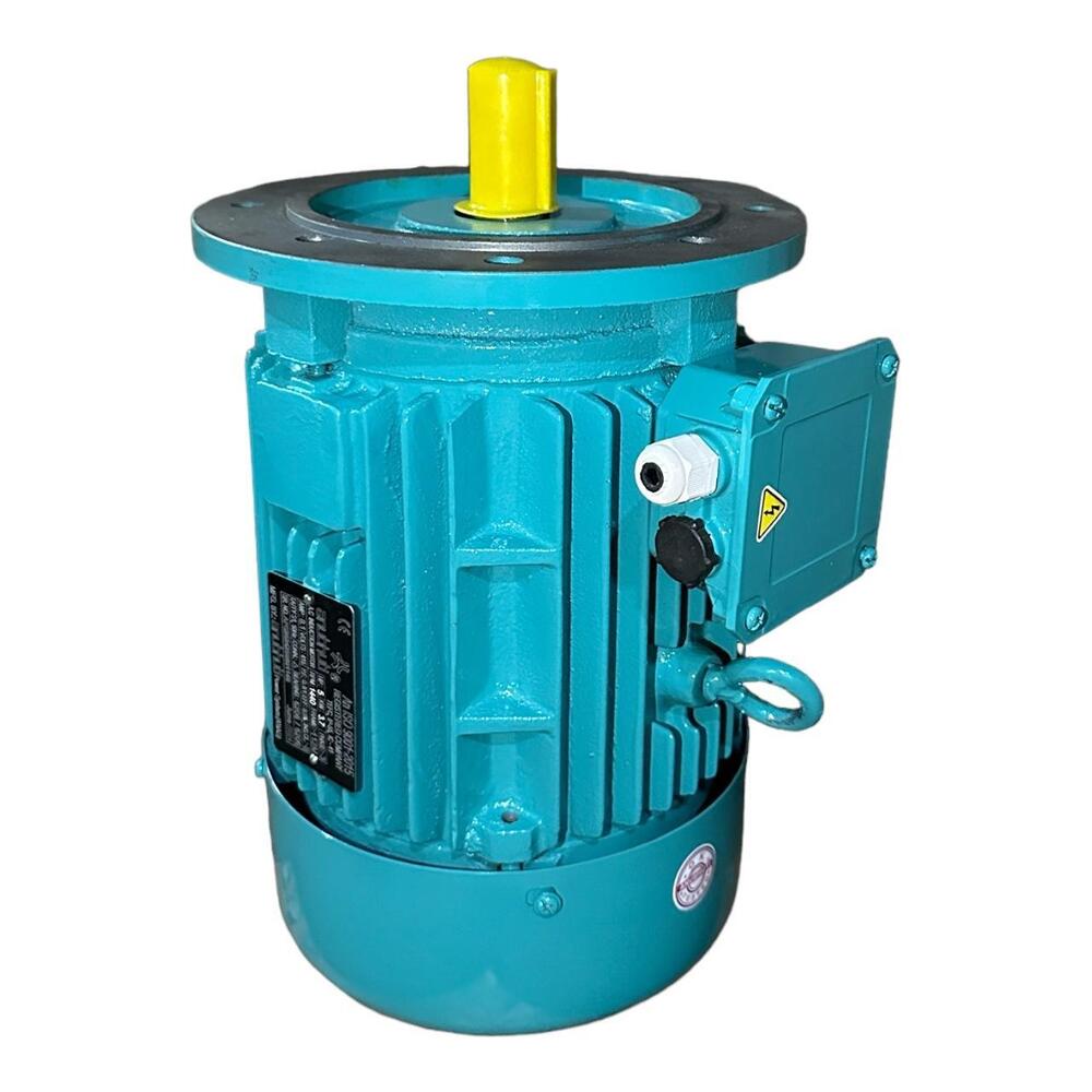 FLANGE MOUNTED MOTOR