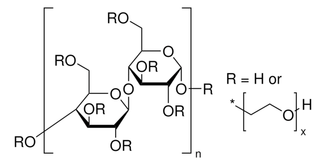 Sodium Carboxy Methyl Cellulose