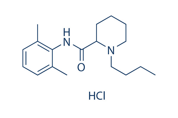 Bupivacaine Base / HCl