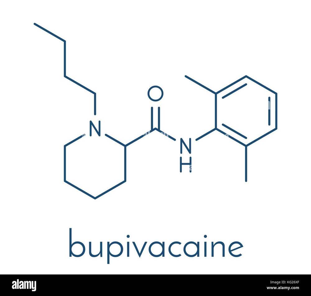 Levo Bupivacaine HCl