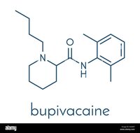Levo Bupivacaine Hcl - Application: Pharmaceutical Industry