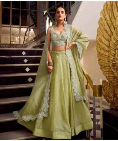 Pista Green Net Lehenga Choli
