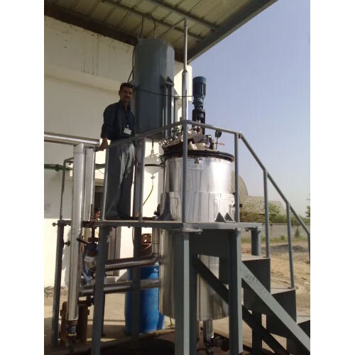 Xanthoxylum -Timur (Leaves - Berries) Oils Distillation Plants