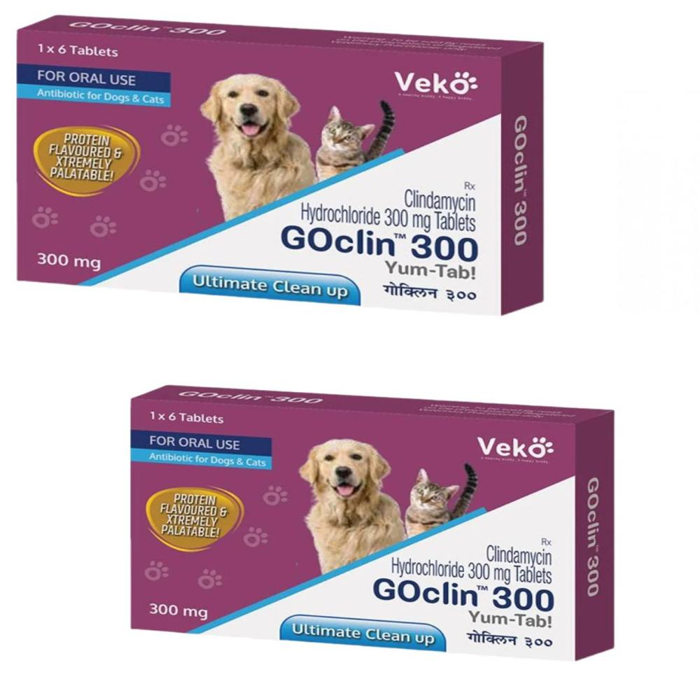 Goclin 300mg (Clindamycin) Tablet