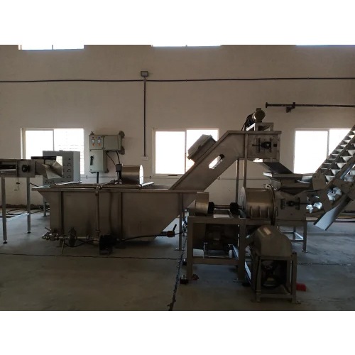 Fruit Processing Machinery - Automation Grade: Automatic